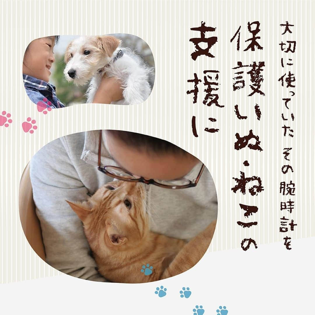 TiCTACのインスタグラム：「不要な腕時計を保護いぬ・ねこの支援に🐕🐈使わなくなった腕時計、そのまま捨てずに保護いぬやねこを支援する取り組みへ「寄付」しませんか？  6/5(月)より全国のチックタック系列店で「下取りキャンペーン」を開催♲壊れたり、止まった腕時計でもOK！ 下取りした腕時計は、募金システムを経由して再販・パーツの再利用をし、買取査定額のすべてを［一般社団法人 動物共生推進事業］に寄付。  不要な腕時計が、飼い主のいない犬や猫のご飯代やワクチン接種の費用、保護譲渡活動や里親支援活動に役立てられます。  また、腕時計を下取りさせて頂いたお客様を対象に、ご不要な腕時計1本回収につき、腕時計10%OFF*チケットをプレゼント🎫  腕時計下取りキャンペーン『不要な腕時計を保護いぬ・ねこの支援に』 6/5(月)〜7/9(日)  ■一般社団法人 動物共生推進事業について  トリマーや獣医師、動物看護士、トレーナーなど犬猫の専門家が集まって立ち上げた団体です。動物愛護センターやブリーダー崩壊、飼育放棄など、飼い主のいない犬猫の保護譲渡活動を主体として保護団体支援、高齢者ペット飼育支援、子供と動物のふれあい事業、輸血ネットワークの構築、ボランティアネットワークの構築など様々な活動を通してペットと人のより良い暮らしの創出を目指しています。 @happy_life.5f  #SDGs #寄付 #寄付活動 #保護猫 #保護犬 #保護活動 #保護犬を家族に #保護猫と暮らす #保護猫を家族に #ネコ #ネコ部 #ネコ好き #ネコスタグラム #いぬ #犬 #犬のいる暮らし #犬のいる生活 #いぬのいる生活 #いぬのいる暮らし #猫 #猫部 #猫のいる暮らし #下取り #リサイクル #recycle #エコ #サステナブル #sustainable #globalgoalsweek #社会貢献」