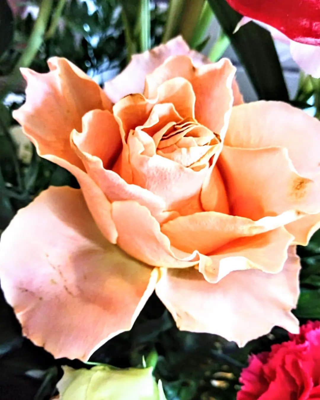 米良美一さんのインスタグラム写真 - (米良美一Instagram)「向日葵と薔薇  その花言葉…  ひまわりは “憧れ” “私はあなただけを見つめる”  バラは “美、愛情” そしてピンクの薔薇は “上品” “感謝”など💖  ステキですよね✨☺️✨  #ひまわり  #向日葵  #バラ  #薔薇  #花言葉  #美しい  #花 #癒やされる  #花束 #贈り物 #感謝」5月31日 14時38分 - la_melamela