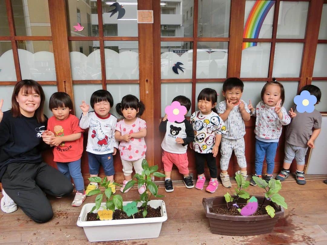 みゆきっこつばめ保育園・そら保育園のインスタグラム：「． 『おおきくなあれ✨』 （つばめ・うさぎ組）  5月31日（水） 早くも梅雨入りをし、思うようにお外に遊びに行けなくなってきましたが、うさぎ組さんは元気いっぱいです！  先日、みんなでピーマン・パプリカ・ナスの苗を植えました♪ 給食で中々野菜が進まない子が多く、みんなで育てることで進んで口にすることが出来ればと思い育てることにしました★ 土入れでは「よいしょ！」と言いながら土を入れ頑張っていました😄 中には手についてしまうのが苦手な子もいましたよ😅 苗を植える時は優しくそーっと持ち、慎重なうさぎ組さん。 最後は順番にお水をあげて、楽しく植えました🌱  もう花が咲いてきて「あ！おはなさいてる👀」と発見していた子どもたち。 これから毎日お水やりをして、自分たちで育てた野菜を収穫できる日が今から楽しみです♡」