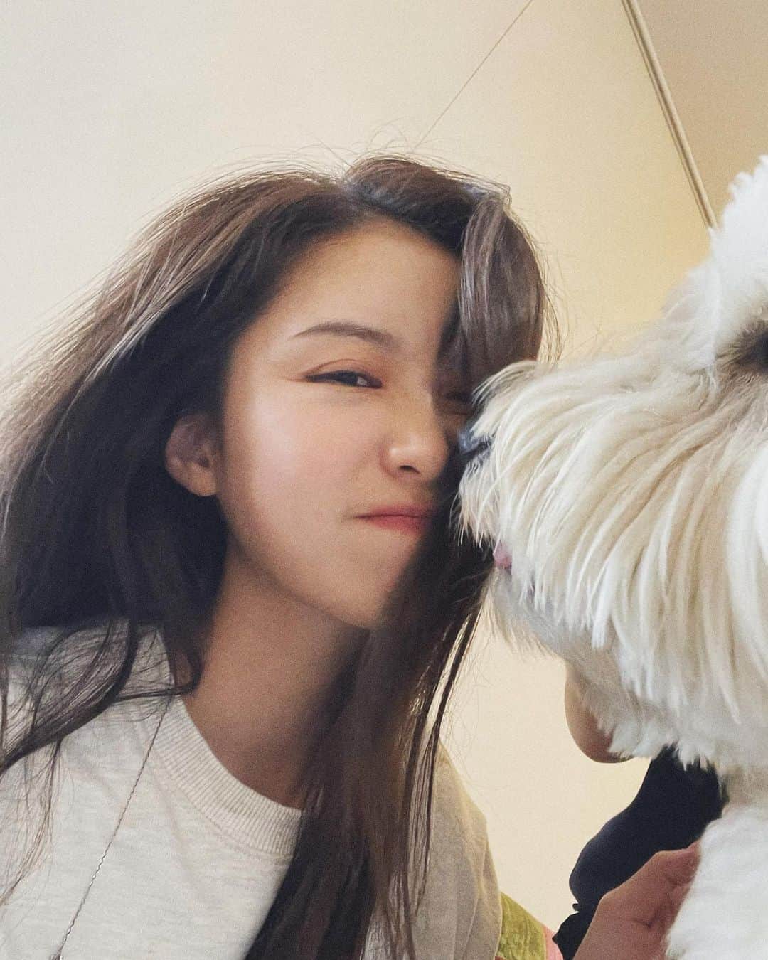 のインスタグラム：「もふ！」