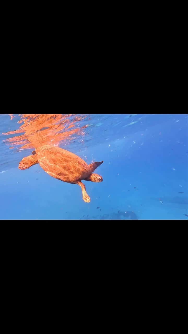 工藤まやのインスタグラム