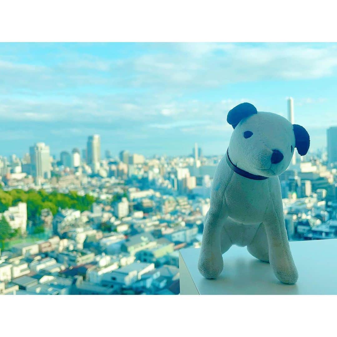 おかゆさんのインスタグラム写真 - (おかゆInstagram)「🎼🐶⛅️🎶🎸💫🌈  今日の渋谷とニッパーくん🐶🐾 晴れ渡る空が気持ち良いです🌈  この後19時~ビクターオンラインストアで 画面越しにニッパーくんと お待ちしております👉❤️ https://victor-store.jp/special/okayu202305  #渋谷のマリア #発売日 #ニッパー くん」5月31日 17時16分 - okayu_dayu