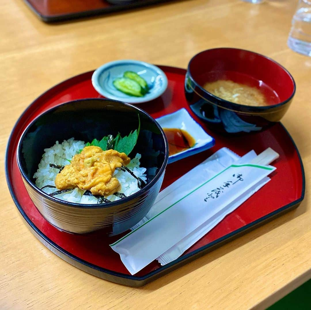 新山大さんのインスタグラム写真 - (新山大Instagram)「素敵な食堂で素敵な生うに丼 そして素敵なお母さん  最高の食堂✨  #いわみ食堂 #蕪嶋 #鮫 #八戸 #青森県 #太平洋 #八戸ランチ #うに #雲丹 #生うに丼 #ちょこっと生うに丼 #これで800円ですよ #最高ですよ #一日中ただただ遊んでたようなロケ #ごちそうさまでした😋」5月31日 18時01分 - dai_niiyama