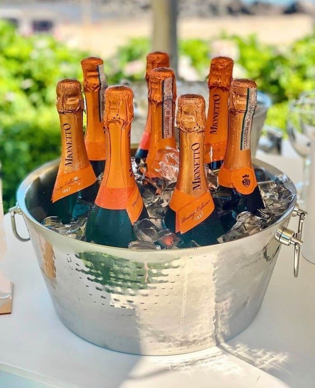 Mionetto Prosecco Suomiさんのインスタグラム写真 - (Mionetto Prosecco SuomiInstagram)「Italialainen Mionetto Prosecco on valloittanut myös suomalaisten sydämet, se on Alkon tämän hetken myydyin Prosecco. Aromaattista omenaa, raikasta sitrusta, päärynää ja aprikoosia. Upeita makuja, ja kaikki pakattuna yhteen pulloon.   Mionetto Prosecco 0,75 l Alkossa 13,49€, saatavilla myös alkoholiton versio Alkosta ja päivittäistavarakaupoista.  #mionetto #prosecco #mionettoprosecco #alkoholiton #luomu #kuohuviini #kuplivamionetto」5月31日 18時21分 - mionettoproseccofinland