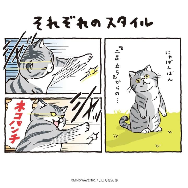 オオゴシヤステルのインスタグラム：「🟠198話🟠  それぞれのスタイル  【過去マンガはこちら】 👉 #しばんばんまんが  #今日のしばんばん #しばんばん #shibanban #むちころばんばん #muchicorobanban #微笑柴犬 #マインドウェイブ #mindwave #オオゴシヤステル #柴犬 #しばいぬ #sibainu #にゃばんばん #nyabanban」