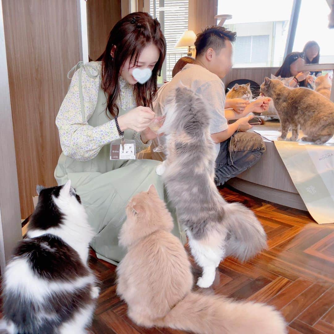 atmmyさんのインスタグラム写真 - (atmmyInstagram)「🐈猫カフェに来たにゃ！🐈  初めて沢山のぬこ達に囲まれて微笑みが止まらない😂  もふもふの猫ちゃんばっかり♡  ここは『猫カフェMOCHA』の渋谷センター街店(宇田川)です^ ^  漫画本も置いてあるし、ドリンクも飲み放題で、 スマホ充電もできるし、とっても綺麗!! 全然ゆっくりできましたよ^ ^  5-6枚目動画だよ🎥  みんなで仲良く猫ちゃんを可愛がりました♪  気になる方は是非行って見てください😘✨  PR @catcafemocha #東京猫カフェ #癒されスポット #ねこのいるカフェ #渋谷カフェ #猫カフェ #猫カフェmocha #猫カフェmocha渋谷センター街店 #渋谷猫カフェ #ヌコ #catcafe #shibuya」5月31日 20時45分 - atmmy