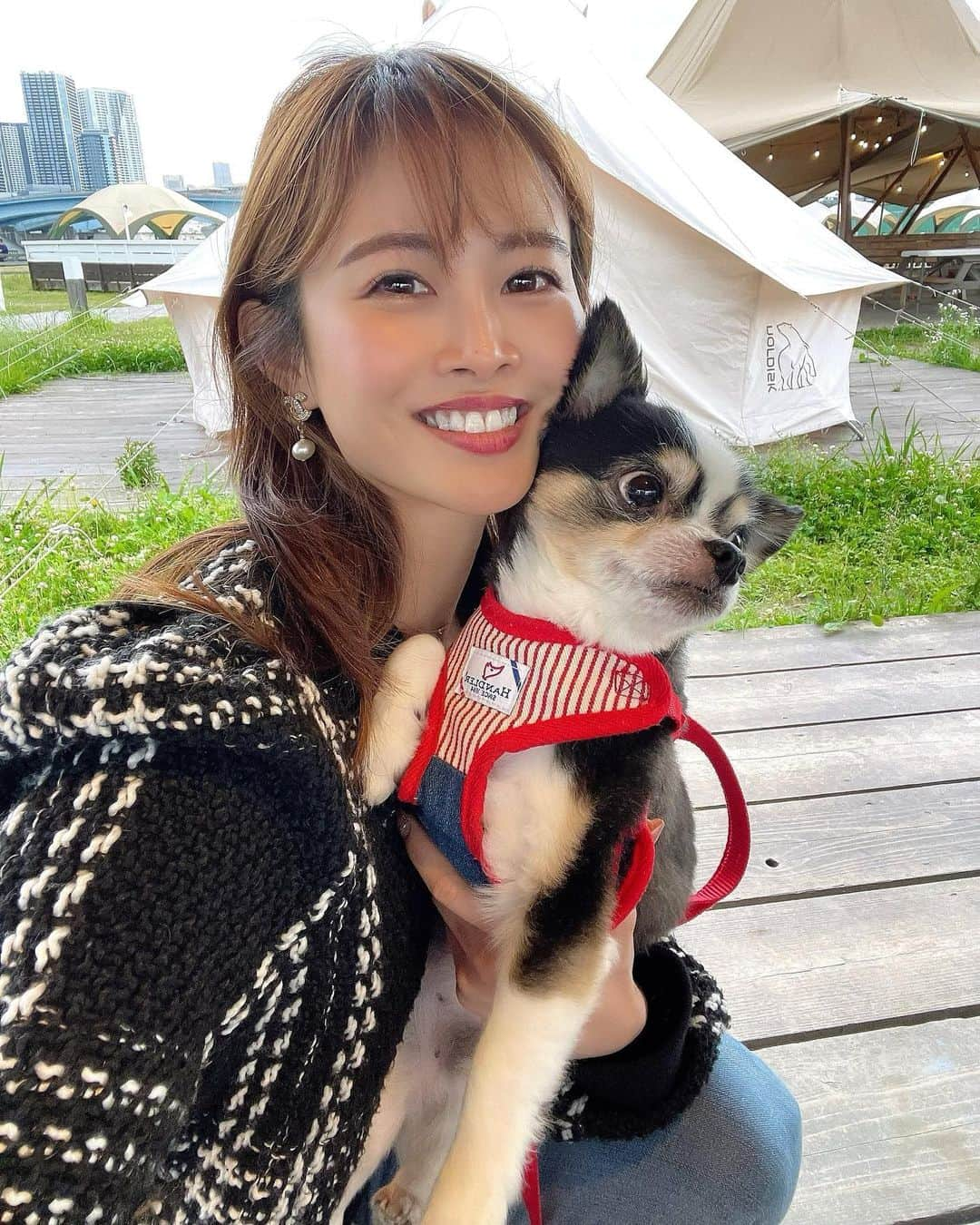 YUKAのインスタグラム：「"大切なペット"の アレルギー検査ってした事ありますか？🐶 ⁡ 『アレミッケ』 という検査キッド見つけてやってみました😳‼️ ⁡ ブル🐶は、たまーーに口周りや足に痒みや赤みが出ることがあって、何に対して痒みが出てるのか調べたくなって、ブラッシングで取れた毛を送るだけで検査が簡単に出来ると知ってやってみました🥹‼️ ⁡ 郵送で結果が送られてくるんだけど とにかく細かく内容が載っていて アレルギー反応が出てる物が知れてびっくり🥹 ⁡ 今あげてるペットフードも記入したら アレルギー反応がでている物が、どのくらい多く入っているかまでみてくれます😳‼️ ⁡ なかなか忙しくて、病院に連れて行けない方も 本当に簡単にできるので 愛犬の為に一度やってみてください☺️❤️ ⁡ っと最近本当色々と便利な時代だな〜と思って 投稿してみました笑 是非参考にしてくださいー☺️  Amazonで【犬 アレルギー検査】 ⁡で検索するとでてきまーす🔎  #愛犬 #犬 #アレルギー検査 #いぬのいる暮らし #犬のいる生活 #犬のためにできること #愛犬との暮らし #愛犬との時間 #犬好きな人と繋がりたい #ゴルフ好き #ゴルフ #ゴルフラウンド #ゴルフ女子 #ゴルフ上手くなりたい #ゴルフスイング #ゴルフスイング動画 #ゴルフコーデ #ゴルフ男子 #ゴルフ好きな人と繋がりたい」