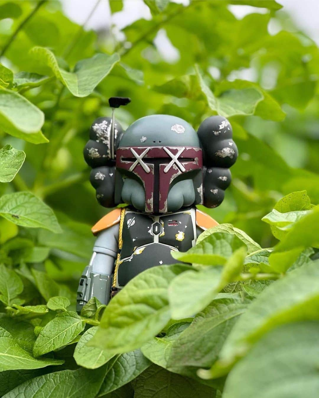 KAWSONEさんのインスタグラム写真 - (KAWSONEInstagram)「Good morning via @kiyoshi88   Repost from @kiyoshi88 • ☘️💚  #KAWS #OriginalFake #medicomtoy #Starwars #bobafett」5月31日 20時46分 - kaws