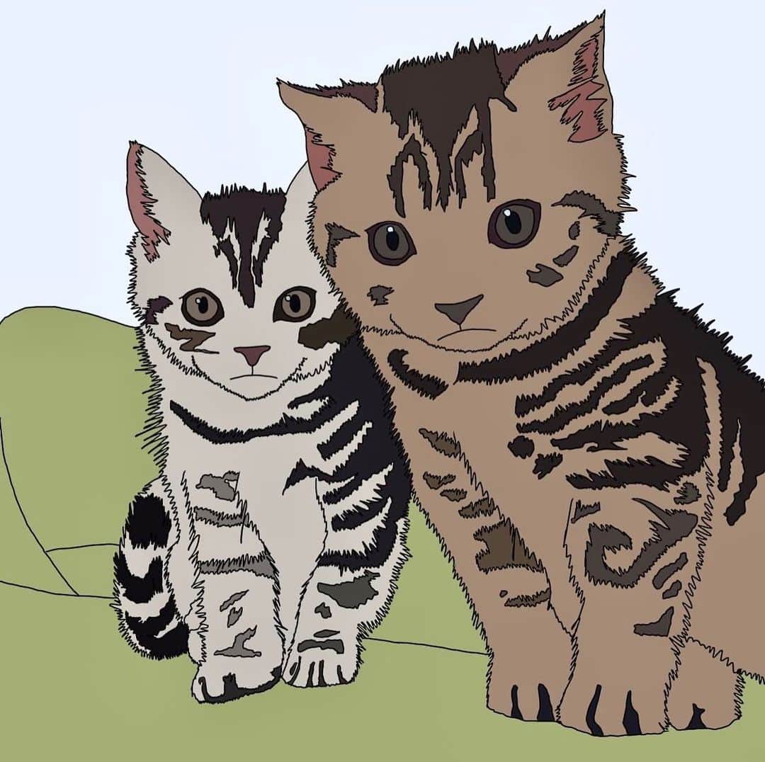 Chiakiのインスタグラム：「My cats!❤️ Thank you for drawing! I love them. 🥹💞 可愛すぎる〜😭本当にありがとうございます😊✨✨ @w.n.kako」