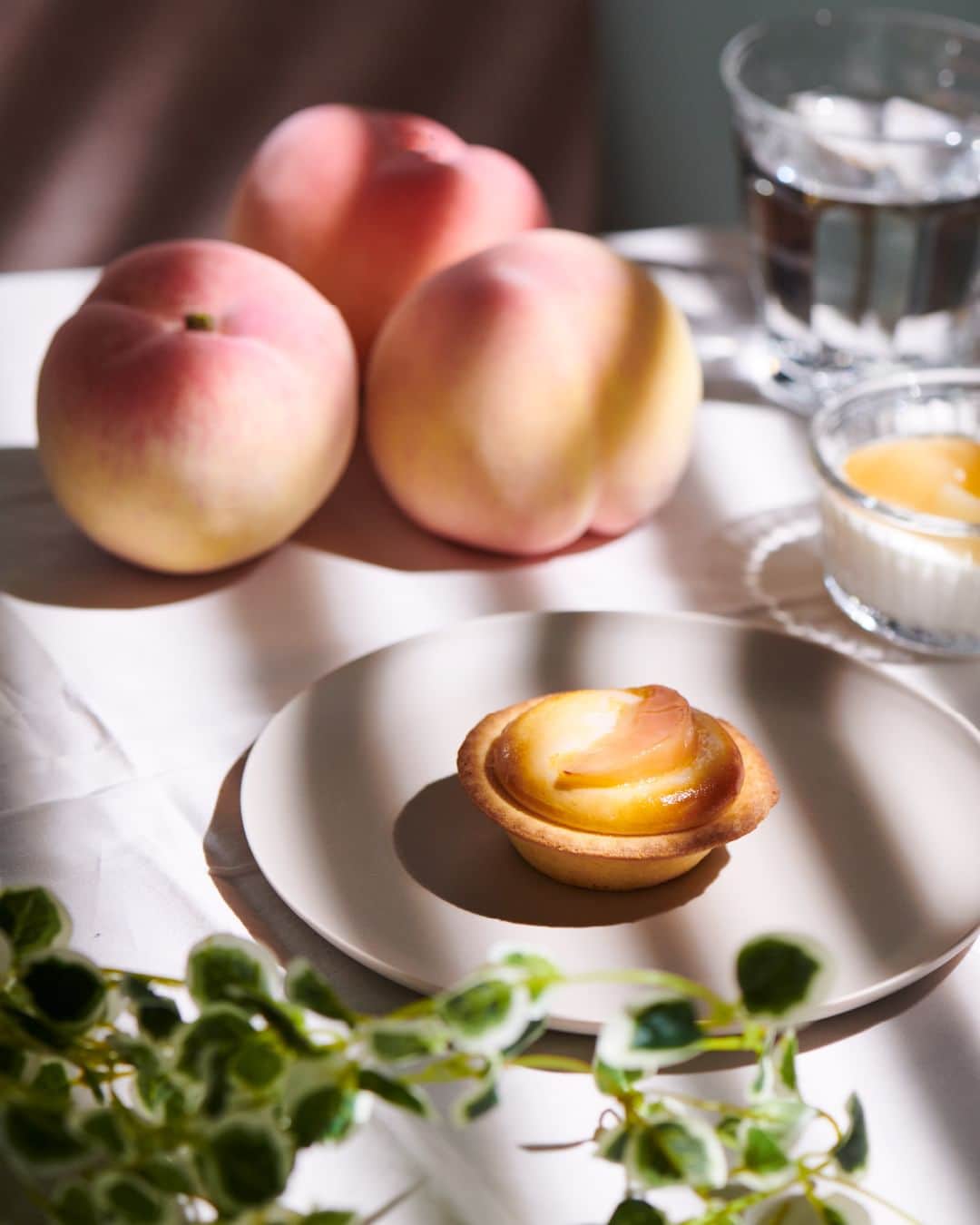 BAKE CHEESE TART OFFICIALのインスタグラム