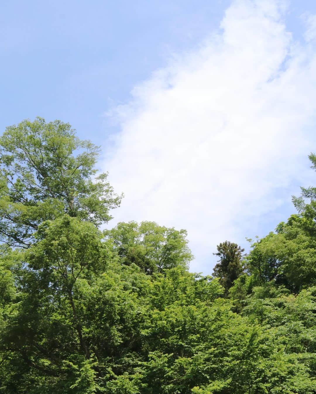 前野えまさんのインスタグラム写真 - (前野えまInstagram)「穏やかな時間と癒しの空間。 また行けますように。 ・ ・ #長野県  #佐久市   #nagano  #naganojapan  #saku  #naturephotography」5月31日 21時26分 - maeno_ema
