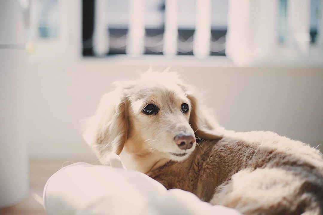 BETTYのインスタグラム