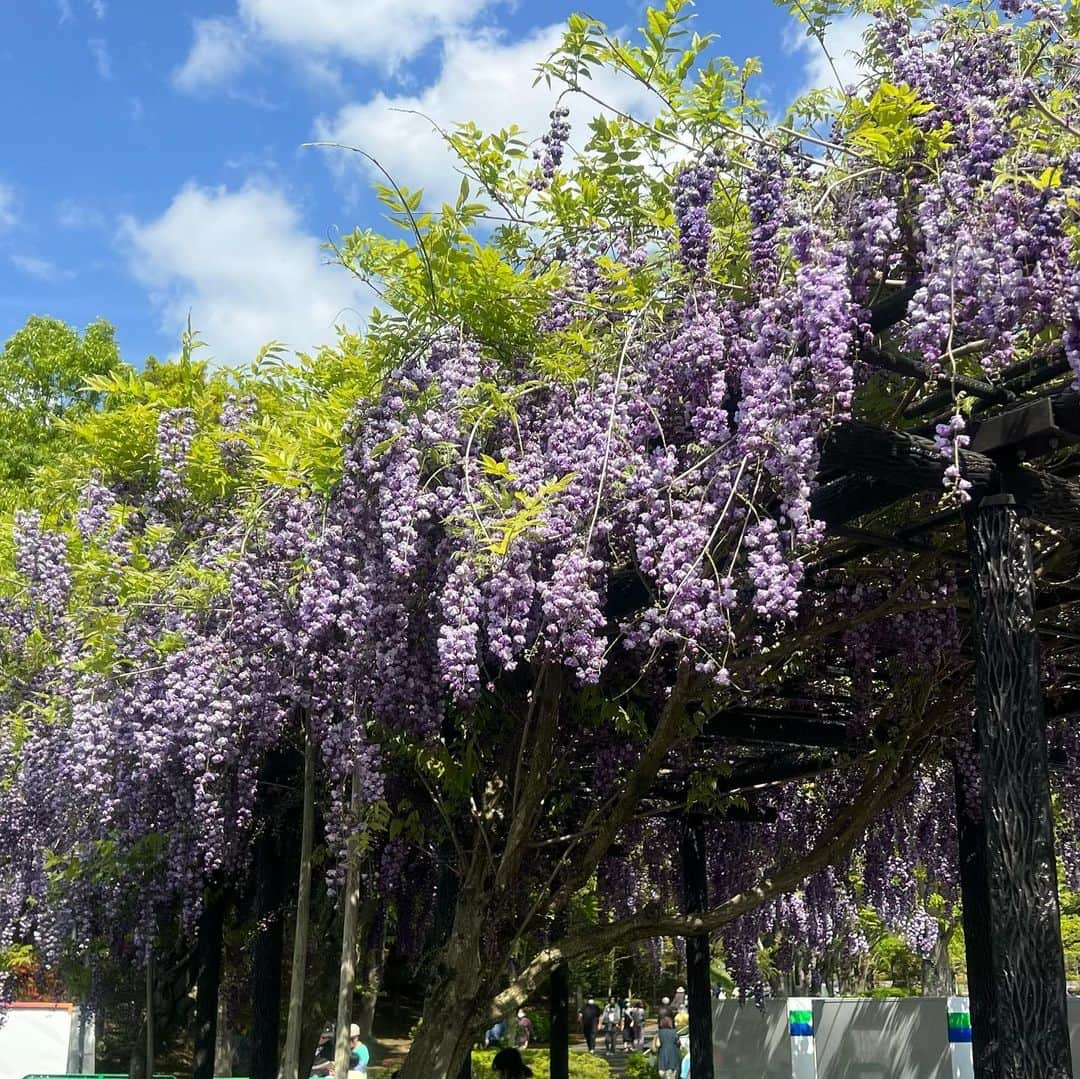 西野実見さんのインスタグラム写真 - (西野実見Instagram)「. ネイチャーラブ🌿🏞️🪽  ５月は様々なとこ行って良い空気をたっぷり吸えた〜！ 呼吸しやすくて穏やかな場所が好き＾＾  皆さん今年のGWは何して過ごしましたか？  これから梅雨の時期だけど気分までどんよりしないように 楽しみな予定沢山入れて気分上げていこっと❣️」5月31日 21時43分 - maminishino