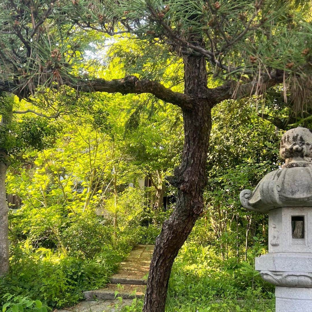 西野実見さんのインスタグラム写真 - (西野実見Instagram)「. ネイチャーラブ🌿🏞️🪽  ５月は様々なとこ行って良い空気をたっぷり吸えた〜！ 呼吸しやすくて穏やかな場所が好き＾＾  皆さん今年のGWは何して過ごしましたか？  これから梅雨の時期だけど気分までどんよりしないように 楽しみな予定沢山入れて気分上げていこっと❣️」5月31日 21時43分 - maminishino