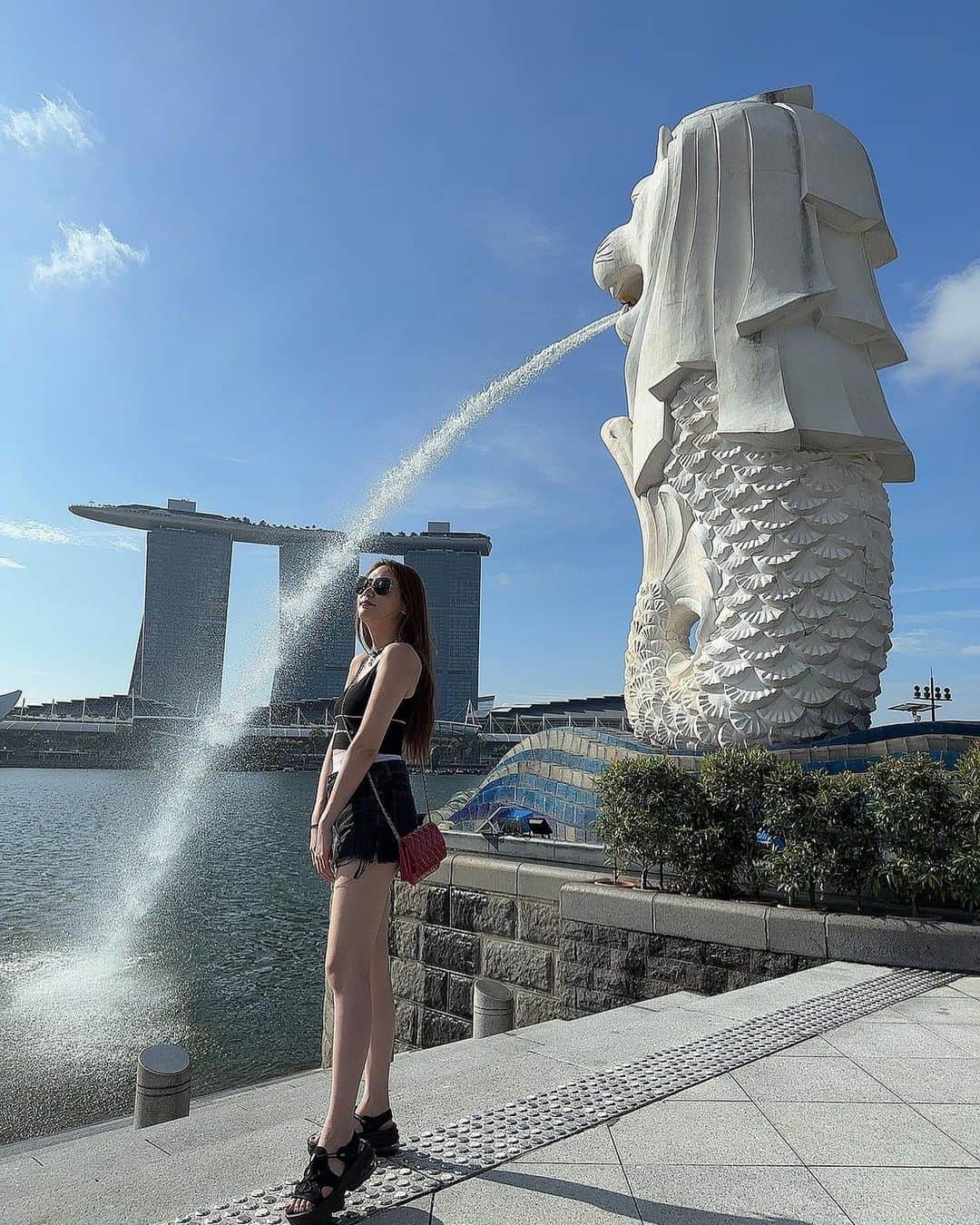 Reiのインスタグラム：「🇸🇬🦁♥️  . . . .  #singapore」