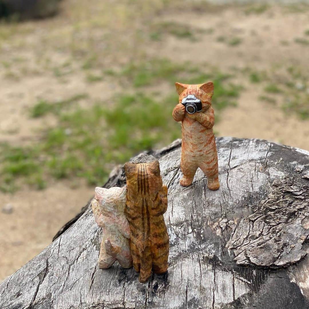 花房さくらさんのインスタグラム写真 - (花房さくらInstagram)「「写真撮ってくれませんか？」 と勇気を出して頼んでみたのも、いい思い出です。  #猫は時として旅をする #cat #sculpture #hanafusasakura」5月31日 21時47分 - sakura_hanafusa