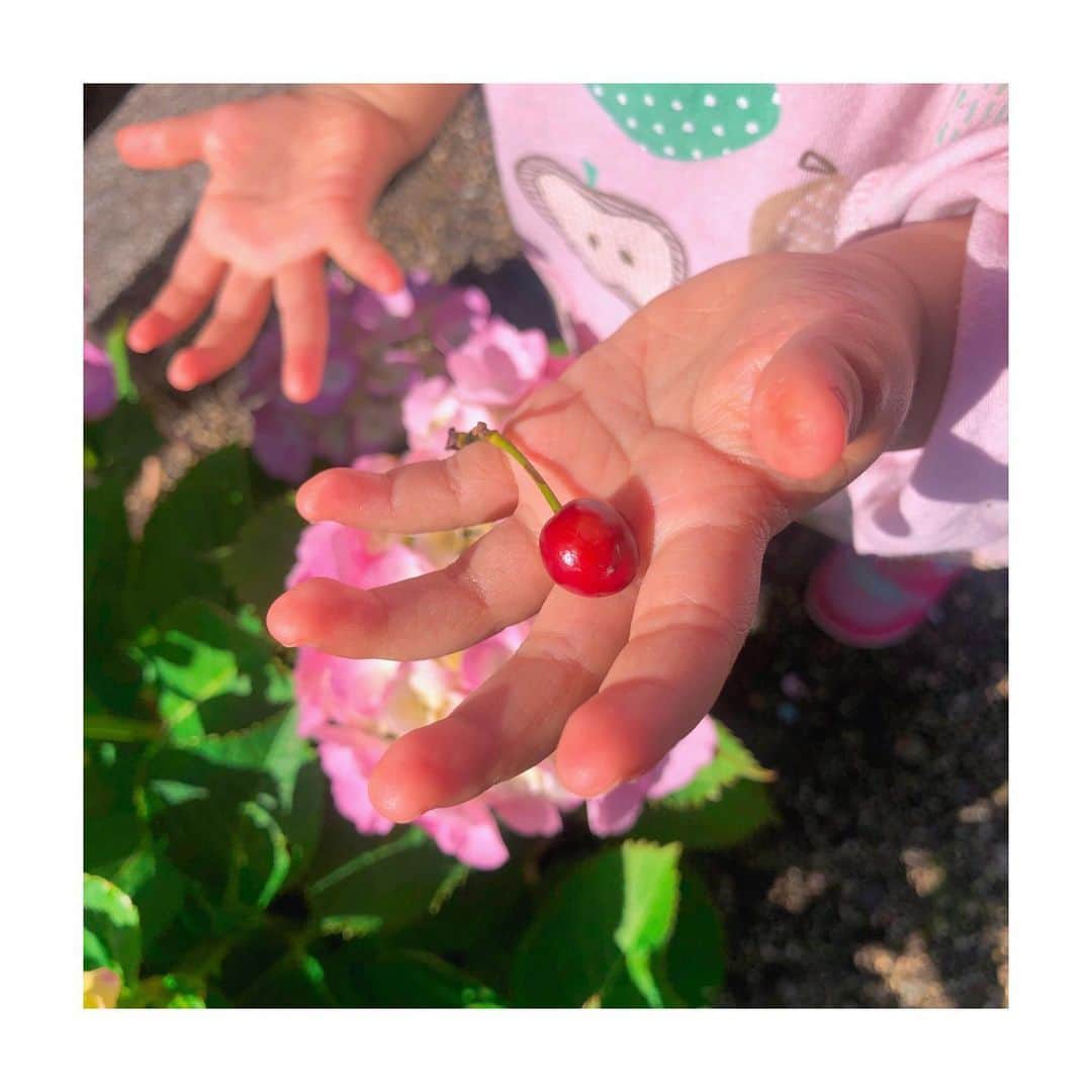 川添りなのインスタグラム：「✋🍒  娘とお散歩~ 小さいお手手が愛おしいです🥺💗 何か見つけたらすぐママに見せてくれる娘ちゃん☺️ たまに変な虫とかゾワッてする物を渡してくるからびっくりする時もあるけど🤣笑 それも、可愛いです🫶  #娘の投稿多め #娘とデート」