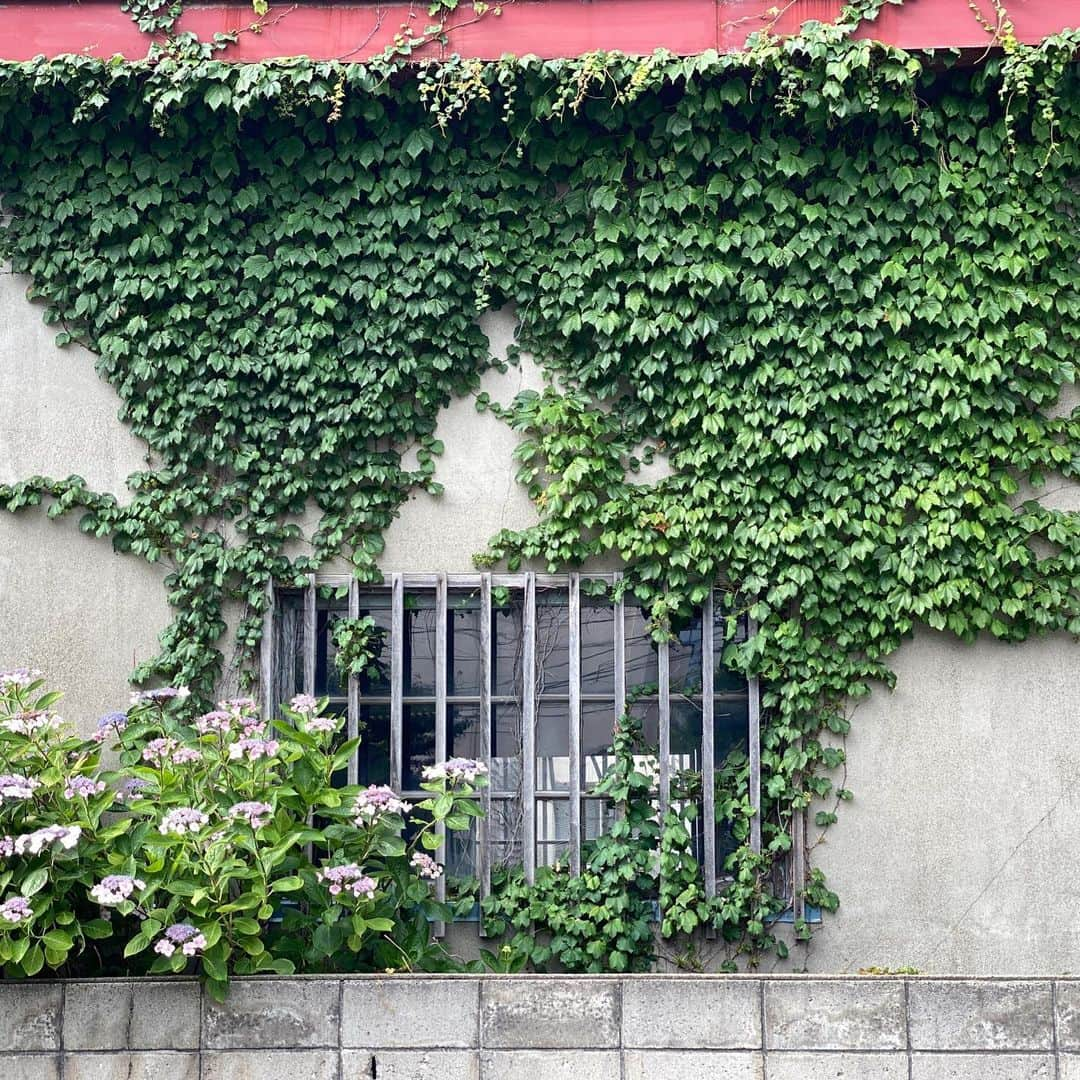 Yasuhito Shigakiさんのインスタグラム写真 - (Yasuhito ShigakiInstagram)「. . The wall . . Aomori, Japan. . #PR . ▼gooblogにてブログ更新、#マルシェル 出品中！！ https://blog.goo.ne.jp/neijin0218/e/0d6ed24875cb8560e52683c9788ec1b8」5月31日 22時00分 - neijin0218