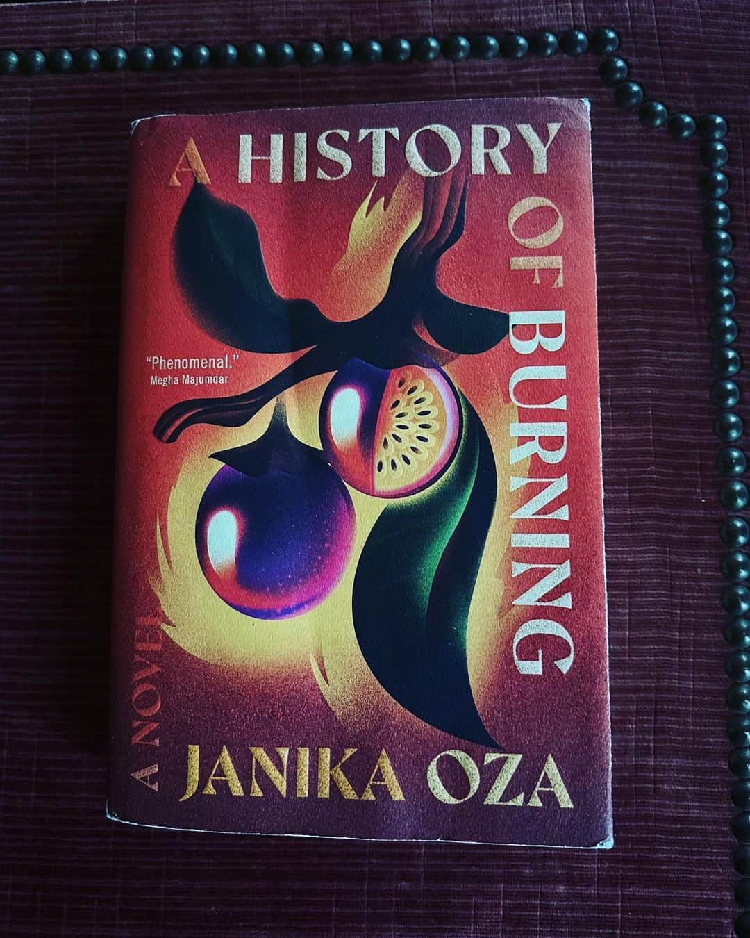 のインスタグラム：「A History of Burning by author @o.janika has been described as “remarkable… a haunting symphonic tale” I have loved every page and missed it when life took me away.  I hope all of you find your way to this sweeping historical novel. Available now through your independent booksellers and your local library.  X, SJ」