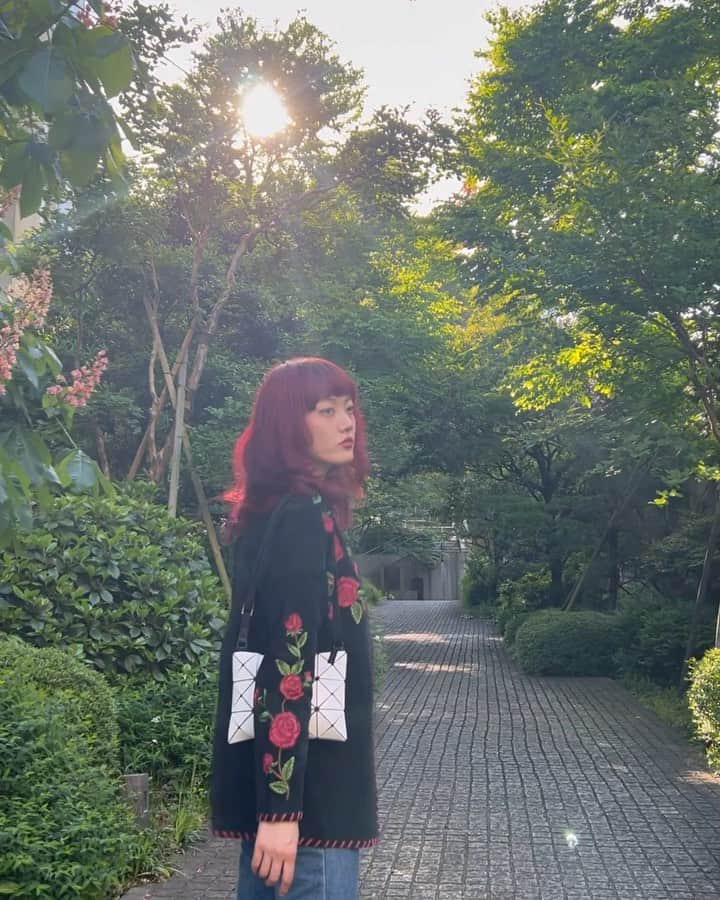 蘭舞ゆうのインスタグラム：「🌹⛩️🐈 Time is a moment, a memory is forever」