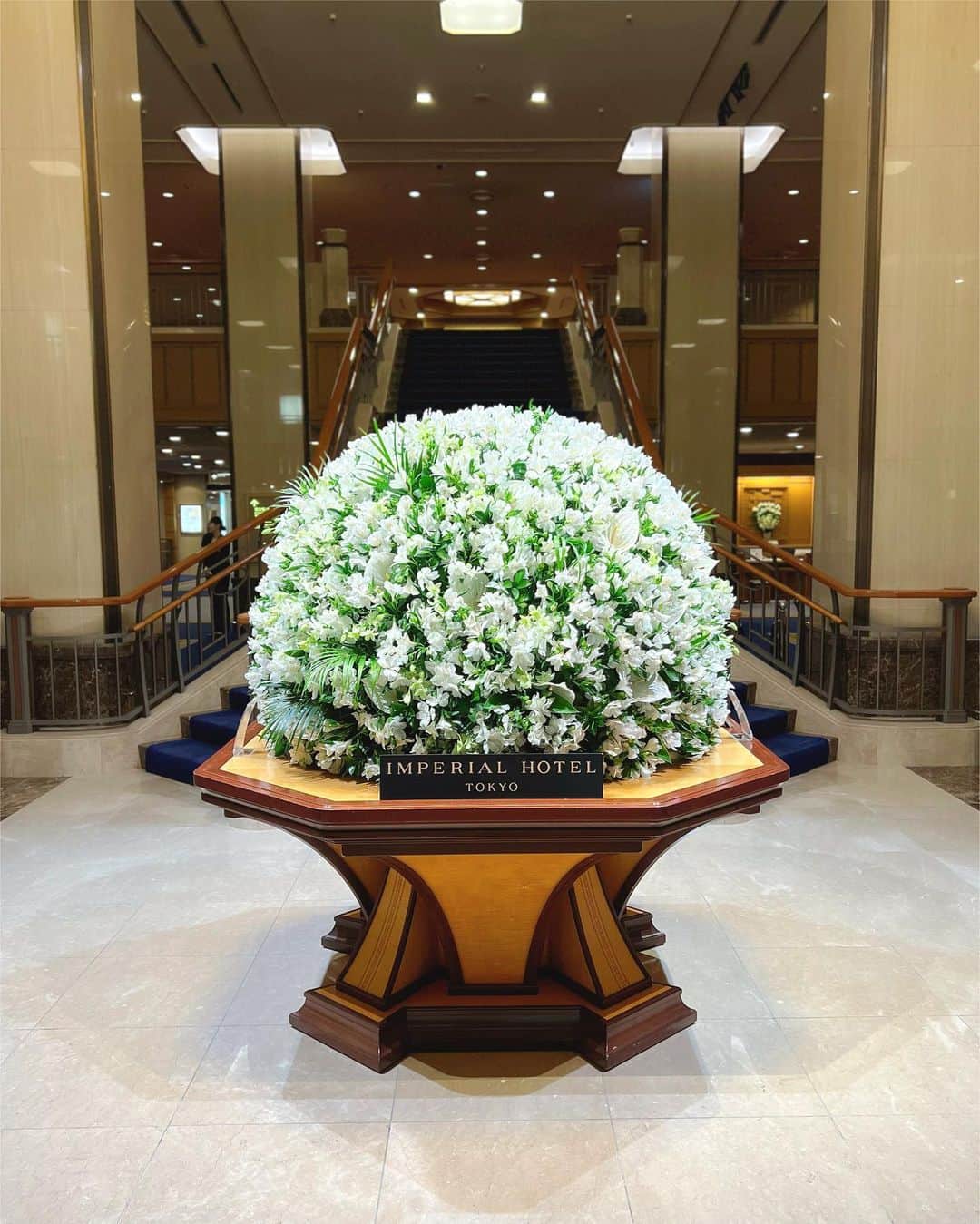 朝風れいさんのインスタグラム写真 - (朝風れいInstagram)「🤍🍀🤍🍀🤍  宙組さんを観た時に…  #5月の思い出 #may #5月  #flowers #whiteflowers #white #imperialhotel #imperialhoteltokyo #帝国ホテル #帝国ホテル東京 #lobby」5月31日 22時36分 - rei.wd