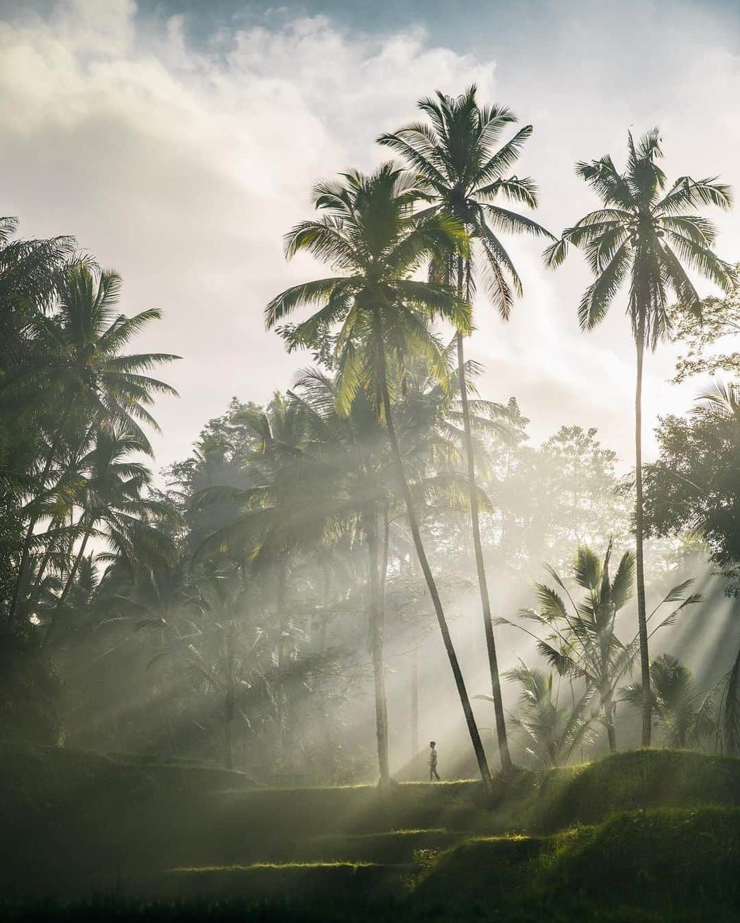 Discover Earthさんのインスタグラム写真 - (Discover EarthInstagram)「Immerse yourself in a visual symphony capturing the essence of Indonesia, from its rich culture to its mind-blowing nature.  Have you also fallen in love with this beautiful country?  📍 Indonesia  🇮🇩 #DiscoverIndonesia with @emmett_sparling」6月3日 1時00分 - discoverearth