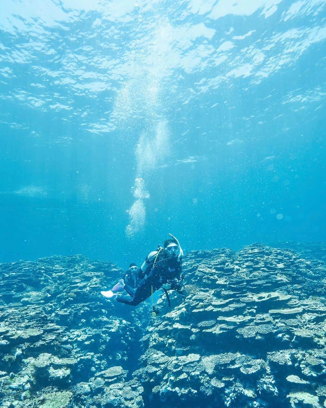 戸崎奈津のインスタグラム：「石垣島でAOWを取得し ライセンスをアップグレードしました🪸🐠🤿👏  10年以上前にオープンウォーターを取得して、ようやくアドバンスを✨何年ぶりかの石垣島の海、、やっぱり最高！🪸潜れる範囲も広がったので、これからもっと行きたい🐠  ダイブマスターまで持ってる @yoshiho825 ！ 今回一緒に潜ってくれてありがとう❤︎ 次はスキン教えてね✨  インストラクターは、長年住んだオーストラリア🇦🇺から石垣に移住した @jackfukushima にお願いしました✨ ▶︎日本列島ほどあるグレートバリアリーフのサンゴ礁。 それがギュッと凝縮されているのが石垣島だと、 石垣島の魅力を語ってくれました✨ 珊瑚の種類や分裂していく成長過程とか..今までなかった視点で見れて、新しい発見がたくさんだった🤭🪸  @gull_diving1955 のマスクとスノーケルお気に入り❤︎  今年はマンタの遭遇率が高いみたい🪸✨  shop▶︎▶︎ @atmr_ishigakijima  #diving #ダイビング #アドバンス #PADI #AOW #石垣島 #aowdiver #padidiver #diving_photography #ishigakiisland #石垣島ダイビング #ダイビング女子 #沖縄#スキューバダイビング #scuba #Photo #マンタ #ナンヨウマンタ #ダイビング好きな人と繋がりたい #ダイバー #Okinawa #underwaterphotography #manta」