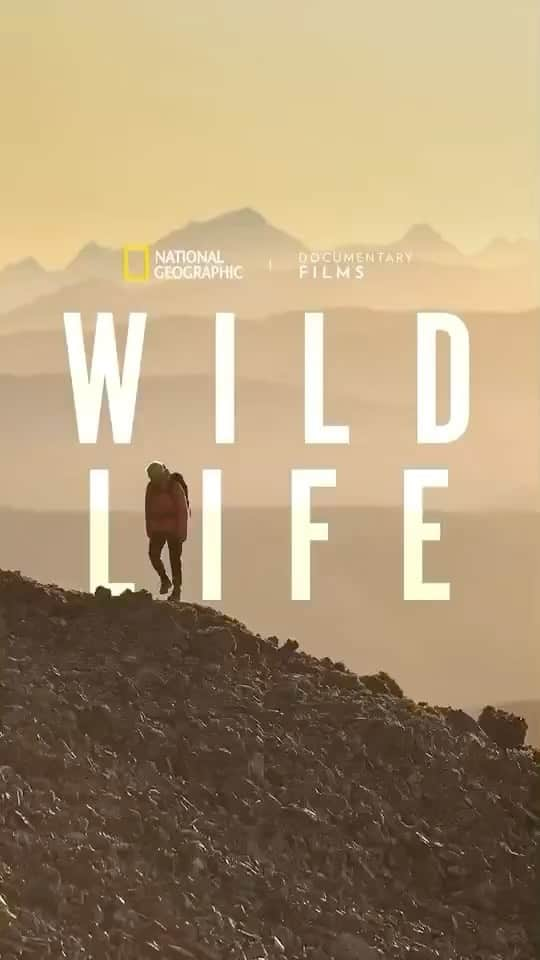 ホセ・ゴンザレスのインスタグラム：「I am happy to share that I was fortunate enough to get to play a small musical part in this incredible film and story about Kris and Doug Tompkins directed by @chaivasarhelyi and @jimmychin. Try to get out and see this one or stream it whenever you can. It’s a special one.」