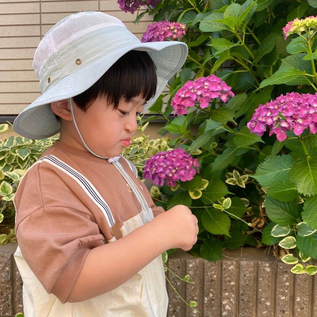 小泉留菜のインスタグラム：「👦🏻💚 . . かわいいお帽子げっと😘 最近ミントグリーンが好きで結構選びがち😉💚 . . 後頭部はアジャスター付きで かぶったままぴったりサイズに調節ができるから 大きめを買っても長く使える嬉しいお帽子👒 子供ってただでさえ汗っかきだし 暑い季節にメッシュ素材も嬉しいポイント✨ 調節できるあご紐ストラップもあるから　 帽子どこ行った？！にならずに済む🙏🏻✨ . . 遥大もお気に入り帽子になって 今年の夏大活躍だねっ☀️✌🏻 #pr @libaby_official  #Libaby #リベビー  #3歳 #3歳男の子 #3歳児 #ママ #男の子ママ #ママスタグラム #25歳ママ #口唇口蓋裂 #関東ママ #埼玉ママ #小さい彼氏 #妊娠 #第二子 #第二子妊娠中 #マタニティ #マタニティライフ #妊娠中 #🤰🏻」