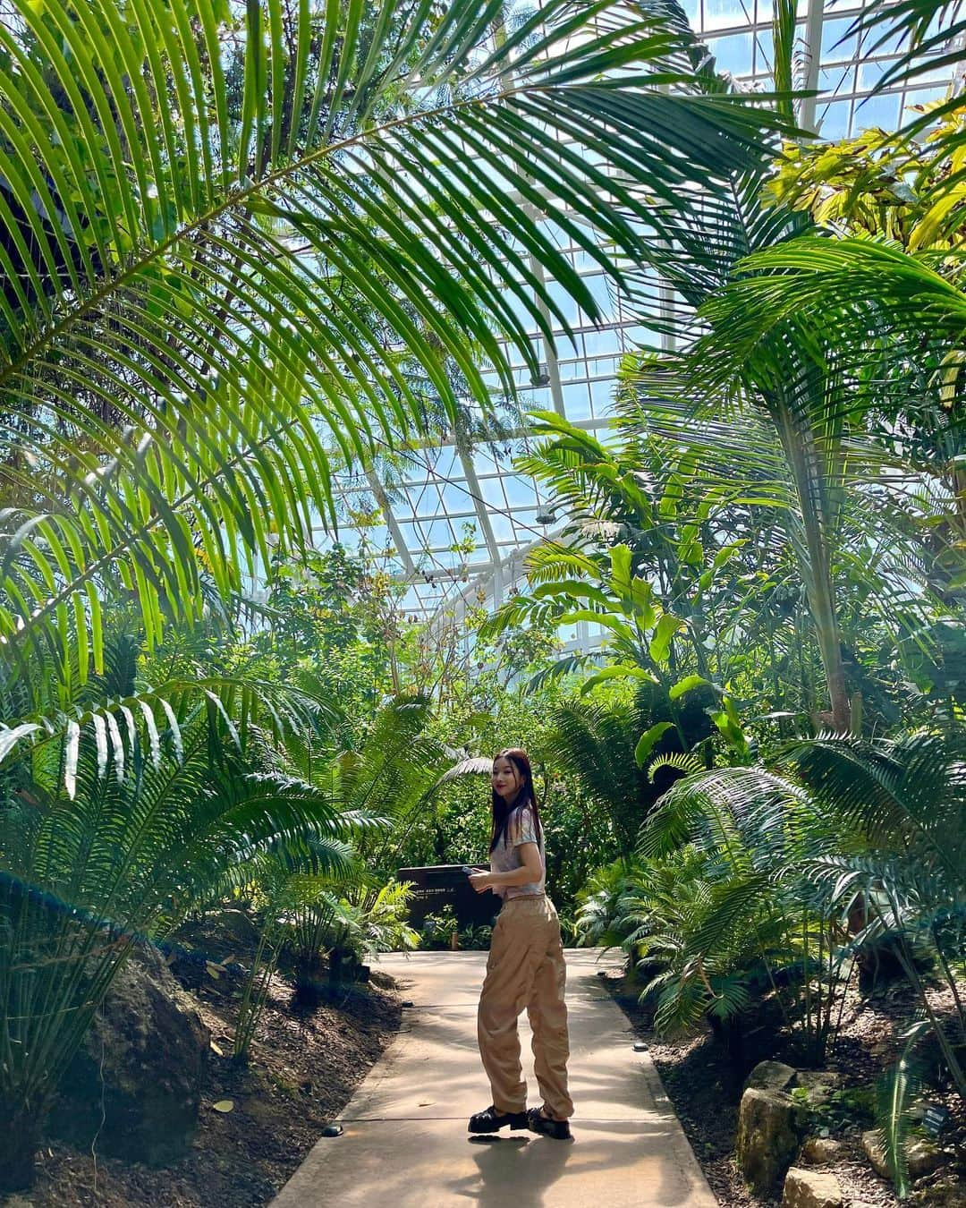 ソルジのインスタグラム：「🌿☘️💚🌴🌱🌵🍀」