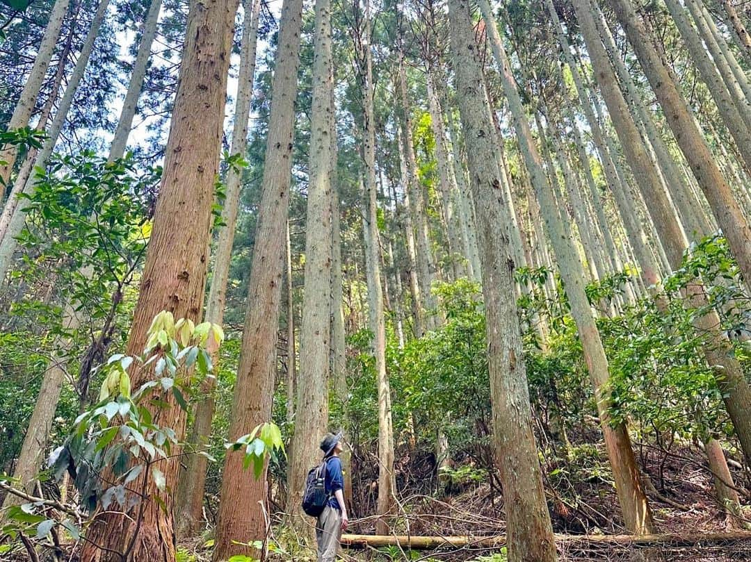 早霧せいなさんのインスタグラム写真 - (早霧せいなInstagram)「レギュラーを務めていた BS朝日「そこに山があるから」　 次回の放送をもって「そこ山」から卒業することになりました。  約一年で登った山 19座。 人生でこんなに自然と、山と向き合った一年はなかったです⛰️  ロングラン公演との両立。 どちらも穴をあけることなく最後までクリアすることができて、心から安堵しています☺️  毎回放送では一人しか映ってないですが、実際は沢山のスタッフさんに支えられて登っています。機材などの大荷物を背負って登る姿に何度も勇気づけられ、視聴者の方から届く励ましの言葉で楽しみながら頑張ることができました。  山好きの方ご心配なく！番組は続きます👍 これからは視聴者の方と一緒に、本上さん、金子さんを応援したいと思います✨  今まで見守り続けて下さって有難うございました。 来週の最終回（個人的）ぜひご覧ください！  【放送日】 6月7日（水）夜10時30分〜 （再放送、見逃し配信あり）  #そこに山があるから #そこ山 #bs朝日」5月31日 23時35分 - seinasagiri_official