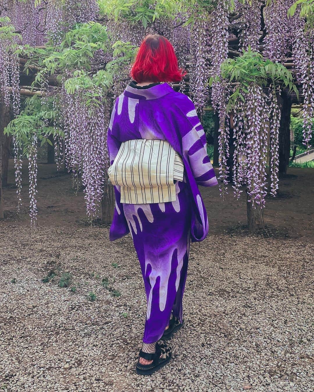 Anji SALZさんのインスタグラム写真 - (Anji SALZInstagram)「Throwback to last year when I had more energy to drag a kid across Tokyo to enjoy wisteria 😂💜 And probably just before I got pregnant with my second.   Have you had time to enjoy some nice flowers lately?   #wisteria #japan #kimono #japanesekimono👘 #antiquekimono #着物 #アンティーク着物 #藤の花」5月31日 23時42分 - salztokyo