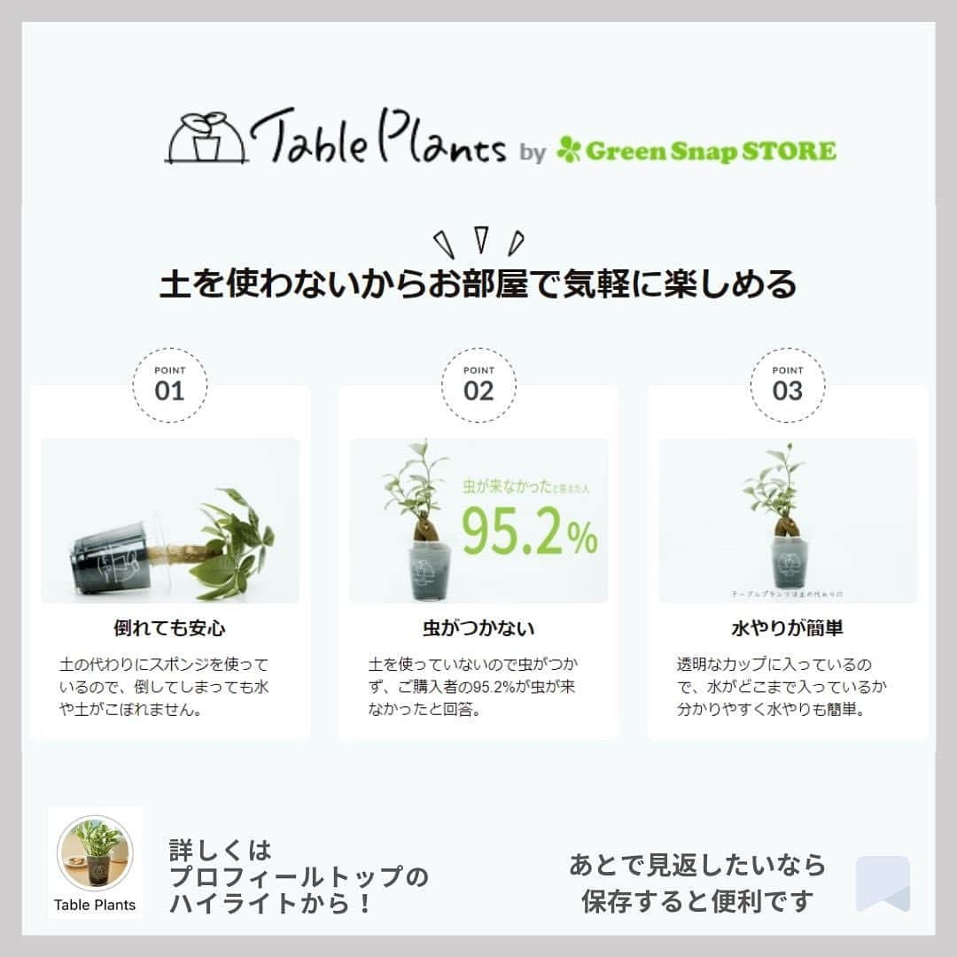 みどりで、つながる GreenSnapさんのインスタグラム写真 - (みどりで、つながる GreenSnapInstagram)「新生活や暖かくなった時期に合わせて観葉植物を初めて購入した人や、これから育ててみたいと思っている人も多いのでは？元気に育てるためには、基本が大切！今回は観葉植物の育て方の5つの基本ポイントをご紹介！」5月31日 23時48分 - greensnap.jp