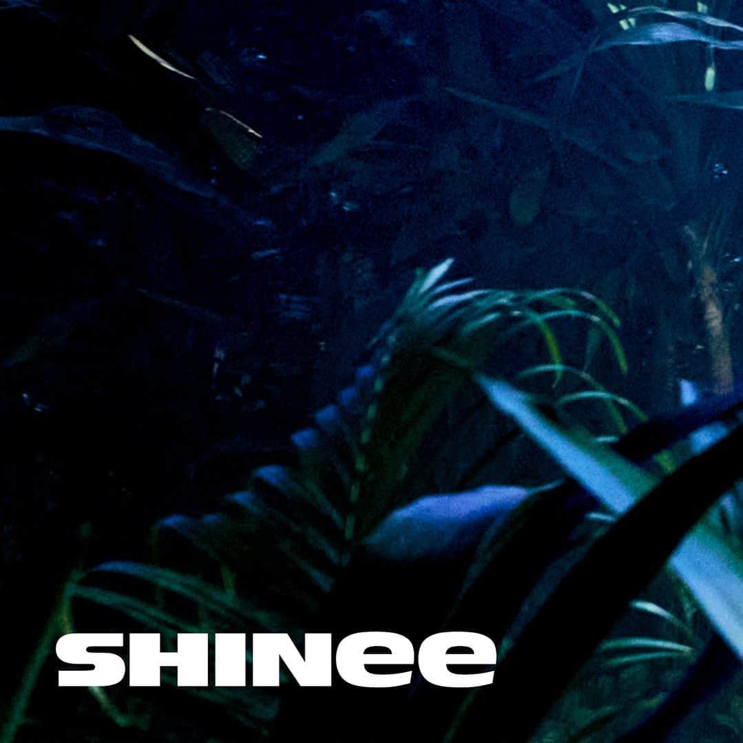 SHINeeさんのインスタグラム写真 - (SHINeeInstagram)「SHINee 샤이니 The 8th Album 〖HARD〗   ➫ 2023.06.26 KST  #SHINee #샤이니 #HARD #SHINee_HARD」6月1日 0時20分 - shinee