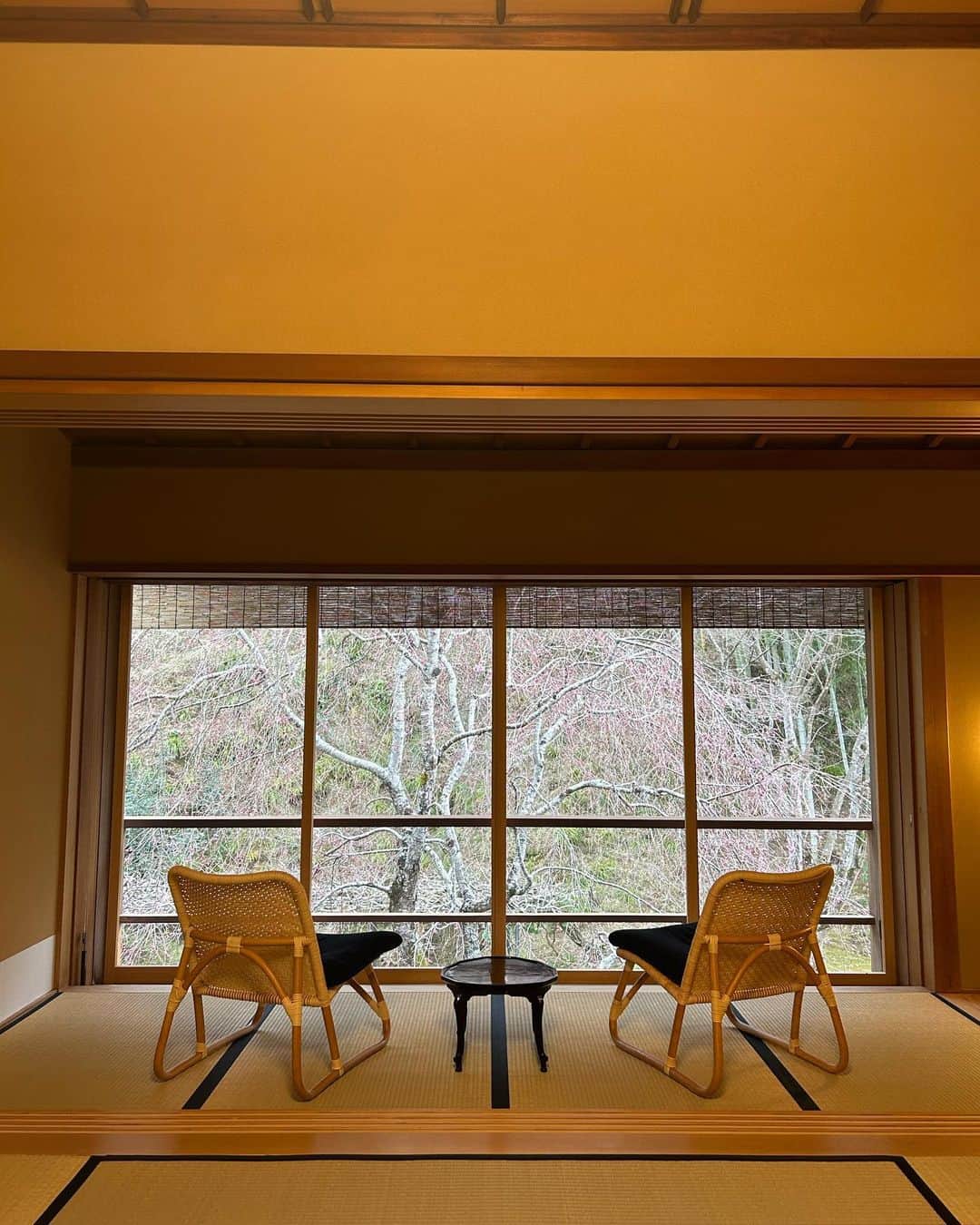 chiharuのグルメインスタ