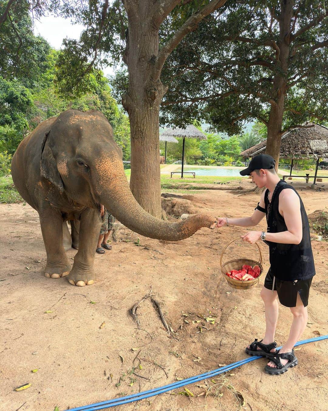 タイキさんのインスタグラム写真 - (タイキInstagram)「毎日の日課にしても良いですか？🐘💕　 保護された象さんたちなんだよ。 たくさん食べてね！  #優しい時間 #お爺さん象 #お婆さん象」6月1日 0時38分 - taiki_jp