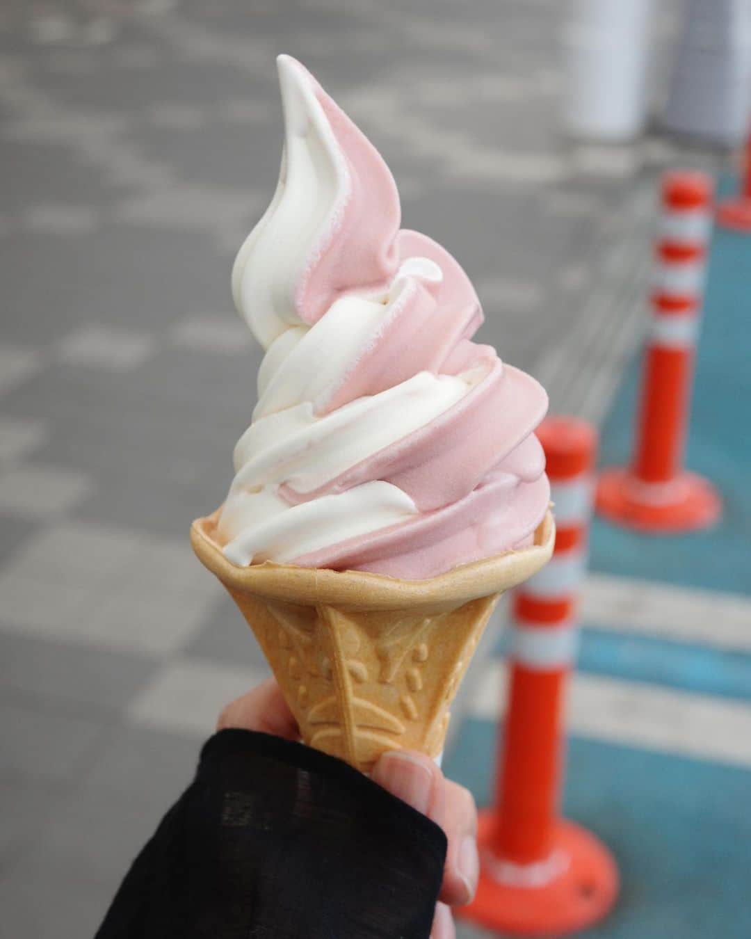 小谷実由のインスタグラム：「5月が終わった。 連休もあったし、どんどん季節が進むたびに過ぎ去る時間が早くなると思っていたのに、今月はなんだかいつまで経っても5月だなぁと思っていた。  しらすが8歳に。できれば年齢なんて意識したくないけど、過ごす時間が増えれば増えるほど本当に愛おしさや信頼も増えていく。毎朝4時半に起こしにきても、引っ掻いても噛みついても、呆れた顔で見てきてもなんでもいいからこれからもずっと元気にだらだらしていて欲しい。  10年振りくらいにバラ園に行った。こんなことは最初で最後なのではないかというくらい大量のバラに囲まれた。香りというよりも色に酔って、気持ちがふわふわして頭の中がお花畑ってこういう感じかもしれないと思う。そこに辿り着くまでにはすごく急な坂や144段の階段があって「こんなの聞いてないよ〜」なんて文句をぶつぶつ言いながら登ったけど、辿り着いた時の景色を見たらそんな疲れや文句も飛んでいって、まるで一つ山を登ったような気分だった（山登り多分したことないけど）。人生の大先輩たちに混ざりながらこの色はやっぱりいいよね、とかこれはとても立派だねとか言いながら歩き回れる友達が32歳にしていることは、おばあちゃんになることが少し楽しみになる理由の一つ。  小さな西瓜を撮影でもらって筋トレのような帰り道だったり、おめでとうの花束をあげることはあげる方も嬉しいんだなと再確認したり、いつまで経っても5月だなぁとか言いつつふと気付いたら朝が夜になっていると思う日が何日もあったり（それは何かに身体を貸してるんだよ、と友達に言われたけど、私そしたら身体何かに貸し過ぎでは）、たまにする非現実なことは心が躍るなと思ったり（サービスエリアでラーメンを食べた後にソフトクリームを食べるなど）、まだ真夏が来る前なのにこれからやってくる真冬に備えて今からダウンを購入（予約）することにした私は果たして準備万端なのかよくわからなかったり、四川火鍋屋に行った時に着ていた服の匂いが4日も取れなかったのに外干ししたらすぐに取れて外気の力に感動したり、板わさが真の甘じょっぱいフードだと発見した5月でした。  五月病は五月中にしっかりといなくなってくれますようにと願いながら6月に突入。ゴーゴー」