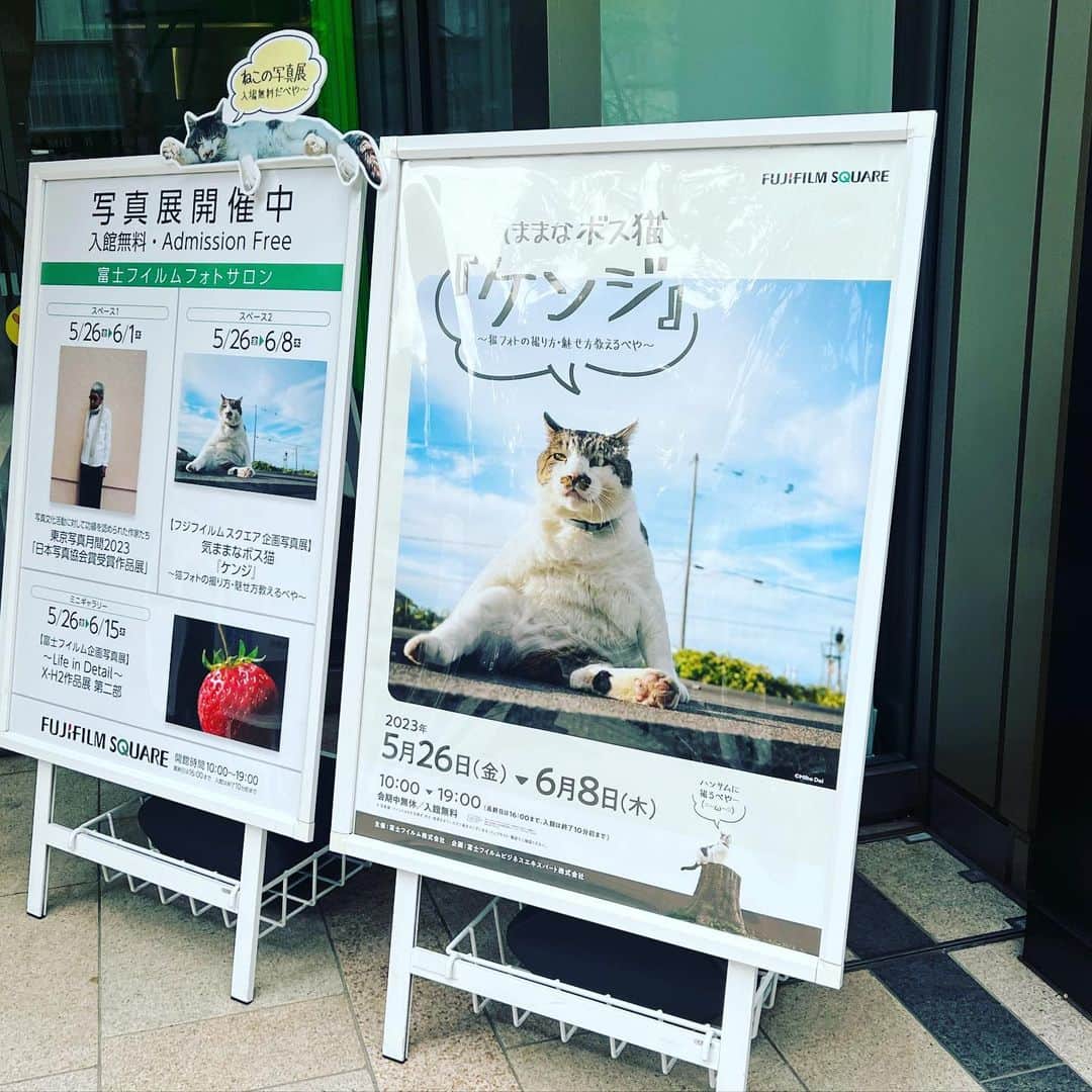上杉洋史のインスタグラム：「大阪から戻り、東京ミッドタウンのフジフイルムスクエアで『気ままなボス猫ケンジ〜猫フォトの撮り方・魅せ方教えるべや〜』企画写真展を観に行ってきました。生き生きとした魅力的な写真たちがたくさん！  #ケンジ展」