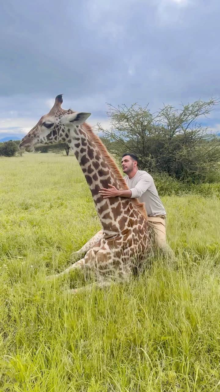 سعودのインスタグラム：「To be close like this to wildlife it’s not easy, you need to have strong and nice heart so they can respect you and trust you   #love #wildlife #animals #trust」