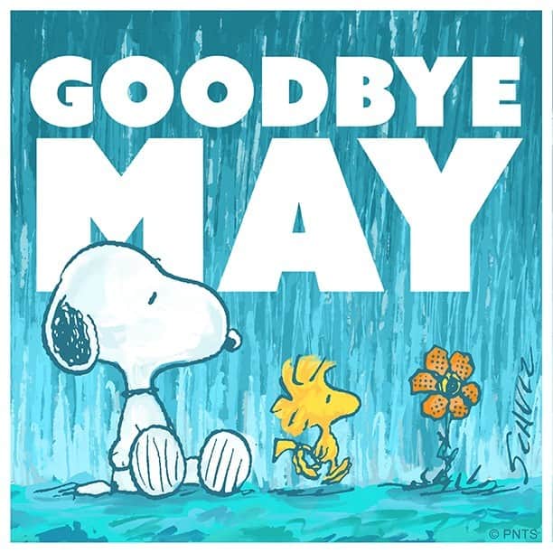 スヌーピーさんのインスタグラム写真 - (スヌーピーInstagram)「Goodbye, May!」6月1日 1時12分 - snoopygrams