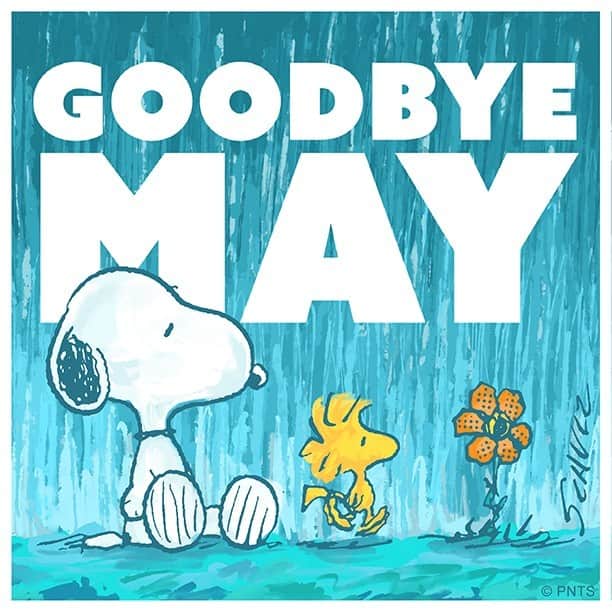 スヌーピーのインスタグラム：「Goodbye, May!」