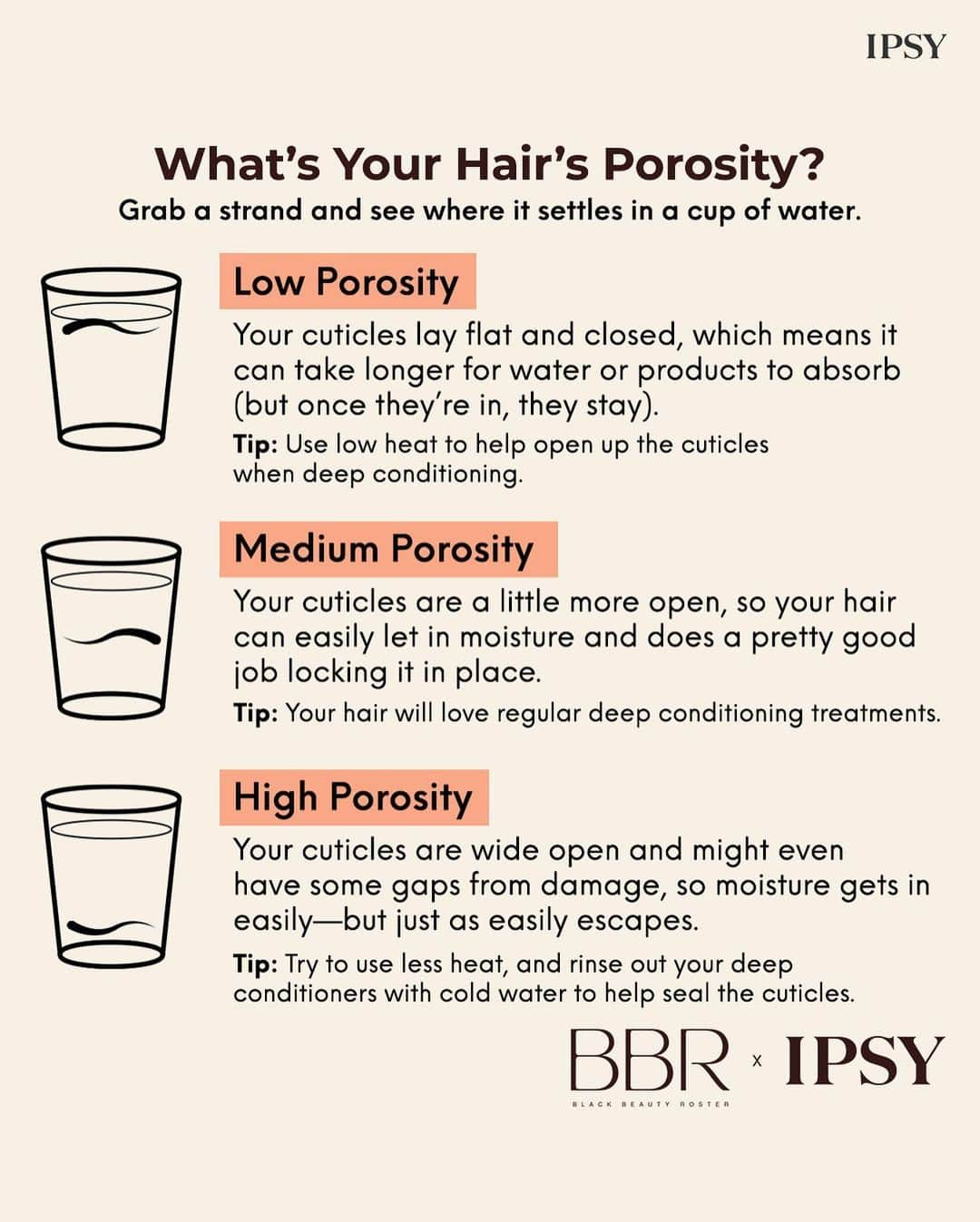 ipsyのインスタグラム：「What did your porosity test reveal? Let us know below, then click the link in bio for even more tips to care for your specific hair. #IPSY」