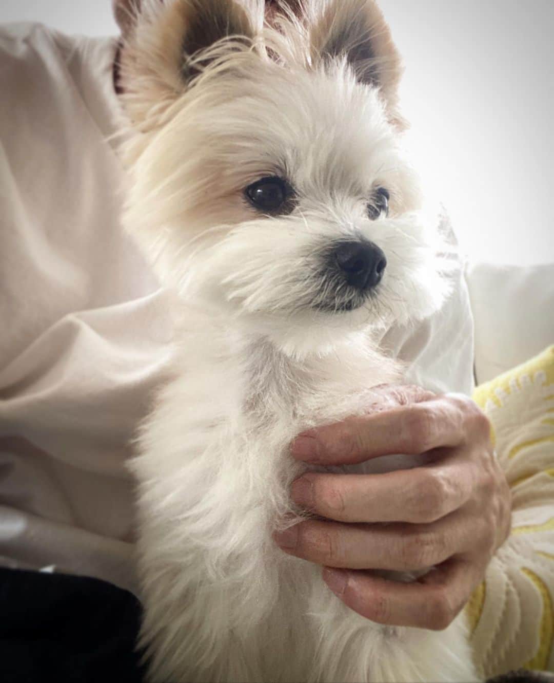 山中崇史のインスタグラム