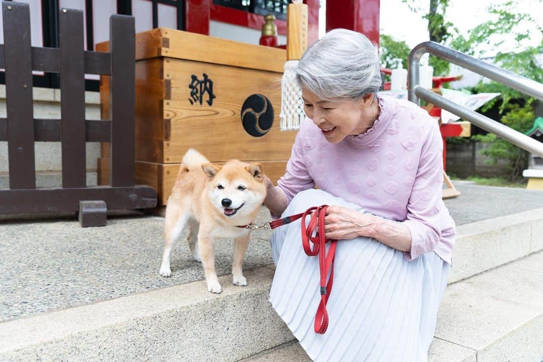 ケイジとケンジ、時々ハンジ。のインスタグラム：「.  「コタローもっと見たい！！」のお声を 沢山頂きましたので、 水原さんとのほのぼのショットをどうぞ🐶📸♡  はあかわいいですね😮‍💨💞💞 先週の7話はまだ配信でご覧頂けますので、 ぜひ今夜の放送前に見てくださいませ🧏🏻‍♀️🫧  #ケイジとケンジ時々ハンジ #丘みつ子 #コタロー推し #みんなコタのトリコ #ニコニコタ  .」