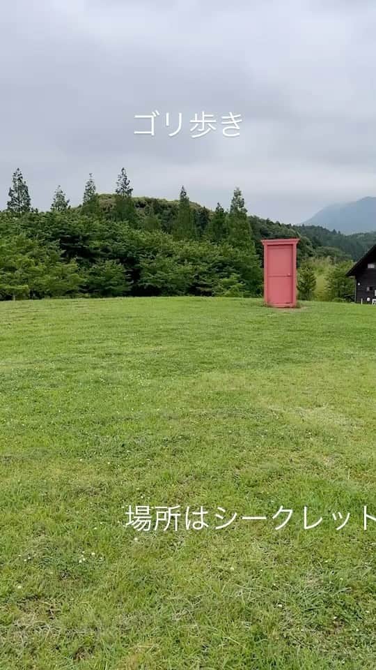 のインスタグラム：「ゴリ歩き  どこに出てきてしまったんだろう？  #どこでもドア #ゴリ歩き」