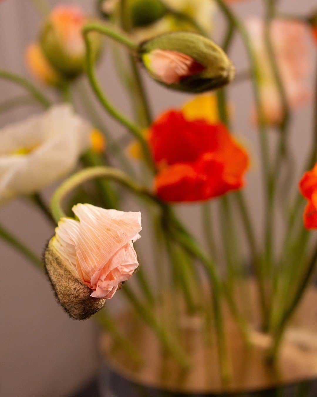 フリッツハンセンさんのインスタグラム写真 - (フリッツハンセンInstagram)「Fill with the year’s first blooms and introduce spring from within at home.⁠ ⁠ What flowers would you put in the Ikebana vase? Share your ideas and inspire others this spring. ⁠ ⁠ Tag #fritzhansen in an image of your arrangement for a chance to feature on Fritz Hansen’s channel.⁠」6月1日 14時00分 - fritzhansen