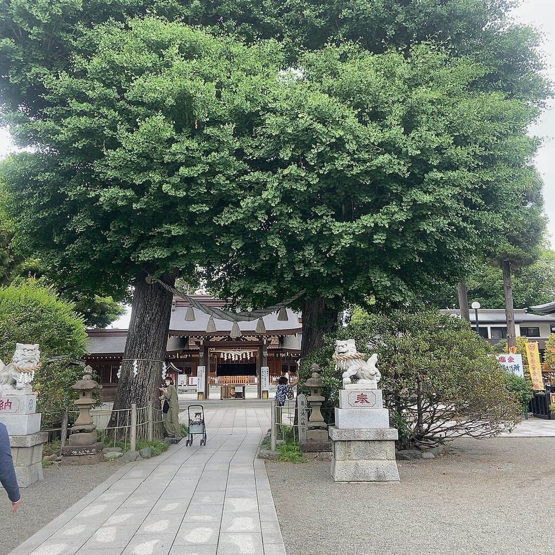 上田祥子のインスタグラム