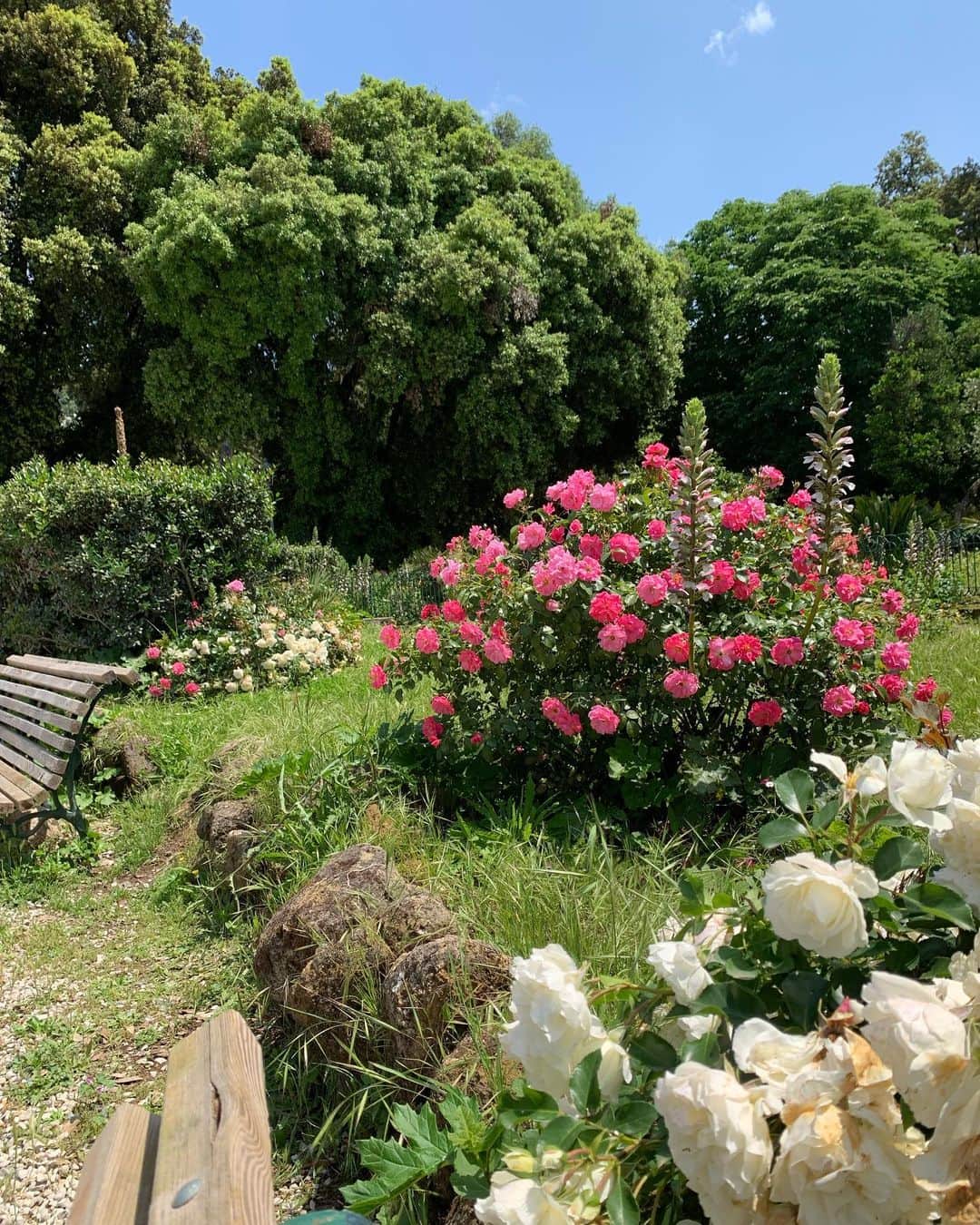 ミナ さんのインスタグラム写真 - (ミナ Instagram)「Day 3 우리의 여름색 in 🇮🇹   뜨겁게 타오르다가 선선한 바람이 불다가 갑자기 우르르 비가 쏟아지다가 또 잔잔하게 그치고 평온해지던☁️ #blossomh_Italy」6月1日 14時41分 - blossomh_