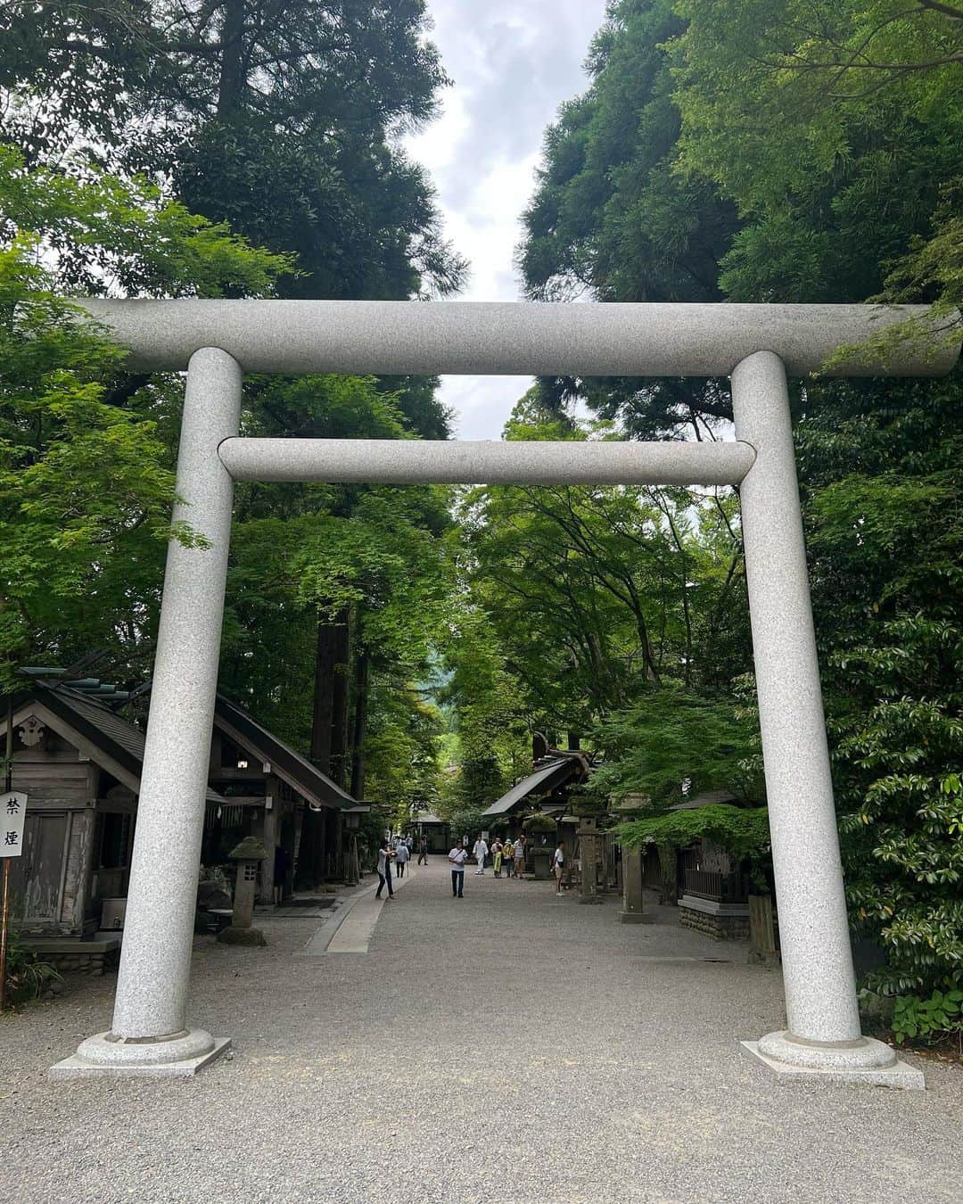 たけるさんのインスタグラム写真 - (たけるInstagram)「【最近の参拝歴】  天岩戸神社　西本宮　宮崎県高千穂 念願の高千穂。 天岩戸神社。 神話、天岩戸開きの舞台。 拝殿の裏に天の岩屋があった なんで岩屋に天照大神が隠れたかというと 弟の素戔嗚の悪行に耐えかねてらしい 素戔嗚が神殿に糞撒き散らかしたり え？ 糞撒き散らかしたり？ カバのお話？ 迷惑系糞チューバー？ 日本書紀、古事記ってこんな話いっぱい 面白いよ そのあと隠れた岩屋がある すごく大きかった 初めて見て心臓バクバクした 野鼠ぐらい鼓動早かった あと、神楽殿の上に飾ってある彫り物 芸術 鳥居カッケェ  #東京ホテイソン #たける #備中神楽 #高千穂 #天岩戸神社 #西本宮 #岩屋 #鳥居カッケェ」6月1日 14時51分 - takayanken