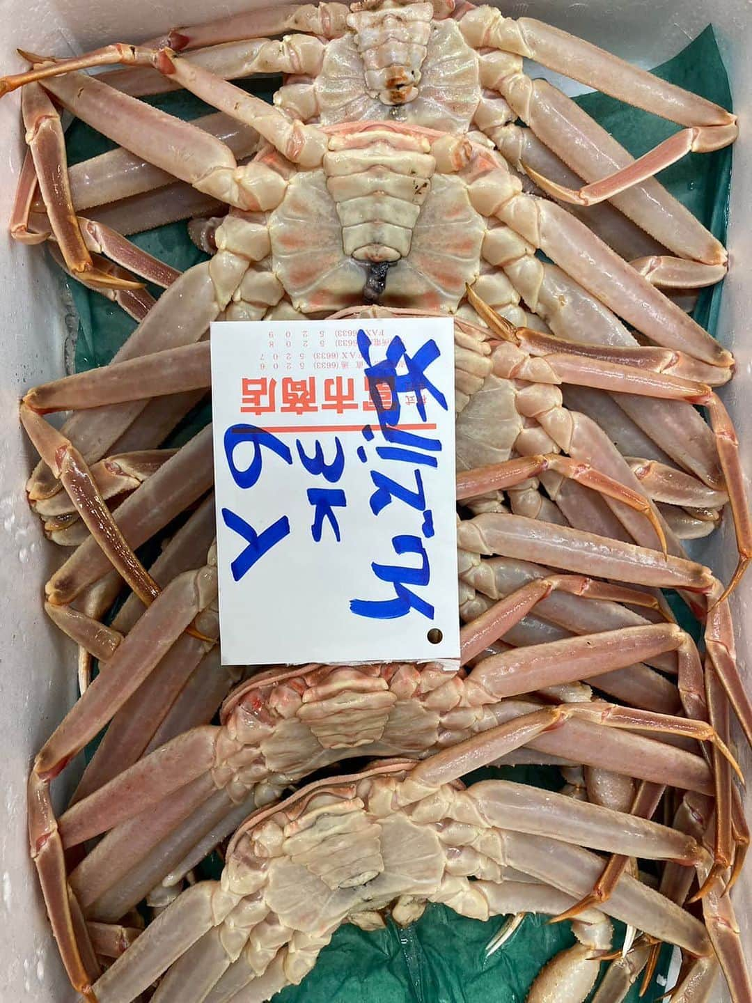 森田釣竿さんのインスタグラム写真 - (森田釣竿Instagram)「🇯🇵浦安泉銀🇯🇵本日の魚食え！コノヤロー！！！」6月1日 6時03分 - tsurizaomorita3710